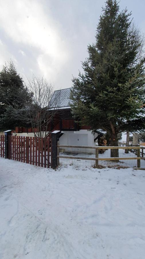 Chalet Individuel Les Sorbiers - 80M2 - Jardin - Barbecue - Wifi - Netflix - Ski & Randonnee - Pyrenees Catalanes Francaises - Эин Экстерьер фото
